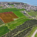 Arsa Nedir