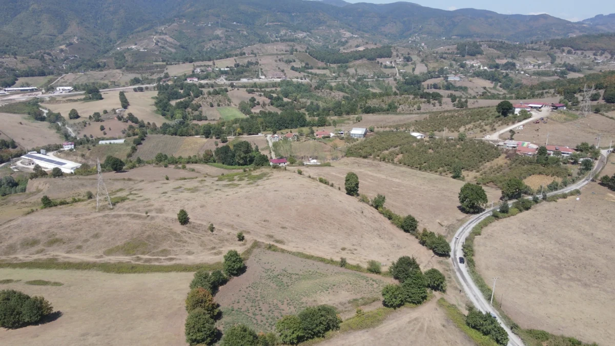 Villa projesi arzarsa